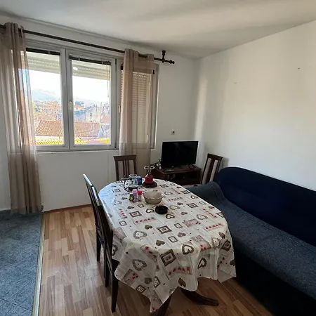 Goran Podgorica